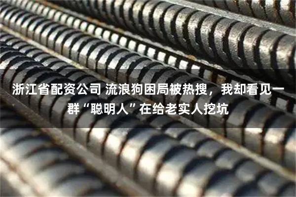 浙江省配资公司 流浪狗困局被热搜,我却看见一群“聪明人”在给老实人挖坑